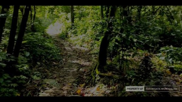 EXTREME ROAD TO TRETES WATERFALL FOR WONOSALAM TEACHING, Jombang, East Java, INDONESIA