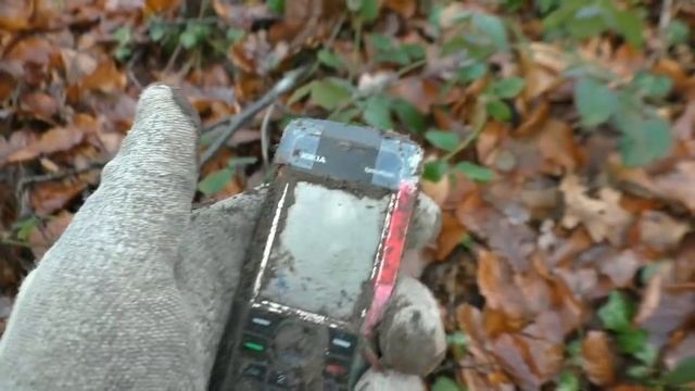 В ЛЕСУ МОЖНО НАЙТИ ВСЕ! смотреть онлайн