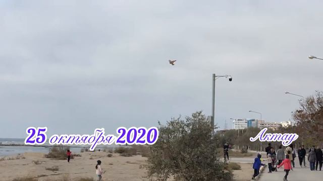 Каспий и Я, 25.10.2020 смотреть онлайн