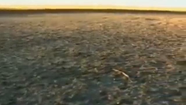 Father of All Bombs (FOAB) смотреть онлайн