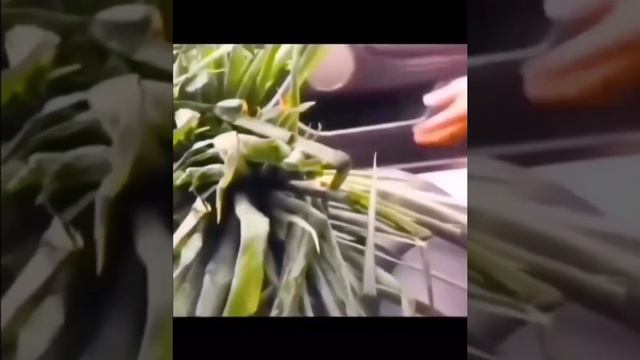 Апхапхпха, помянем... ? смотреть онлайн