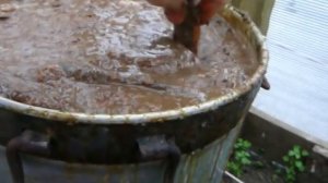 Как приготовить римский рыбный соус гарум  (Garum)
