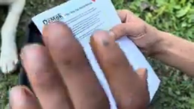 Chevrolet Niva Утонула в Луже , Сделал правдивый обзор на мойку смотреть онлайн