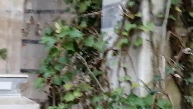 Castelfranco Di Sotto Urbex Chiesetta Padronale