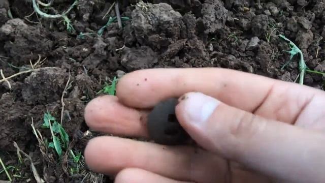 ШУРФ 2017,ВСТРЕЧА С МИЛЫМ МЫШЁНКОМ!!! смотреть онлайн