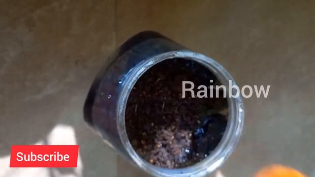 🔴फ्री के NPK खाद से गुड़हल गुलाब मोगरा मे बेशुमार फूल आएगेंNatural Fertilizer For HibiscusPlant смотреть онлайн