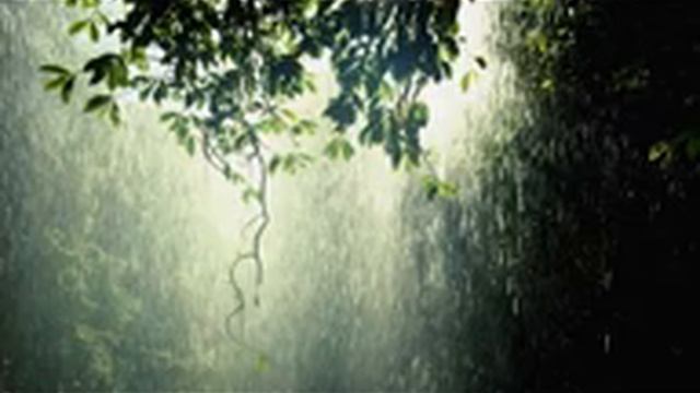 ☂️ Звук дождя и грома ⚡ в лесу для сна ✅ Слушать расслабляющую музыку онлайн бесплатно ? | 1 час смотреть онлайн