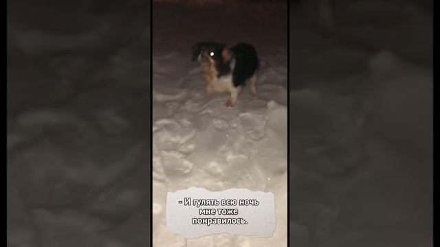 История нашей Леди | Любовь с первого взгляда смотреть онлайн