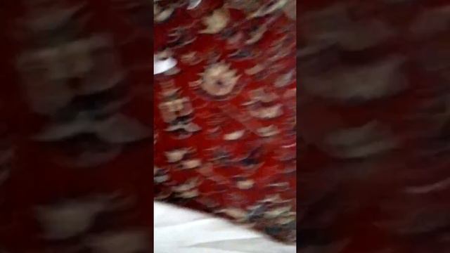 Хорошая собака по клички Пугофка смотреть онлайн