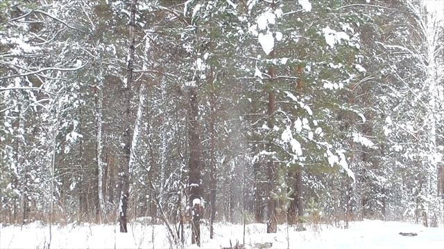 Краткий настрой на оздоровление почек смотреть онлайн