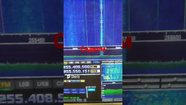 спутник сладком интересная запись смотреть онлайн