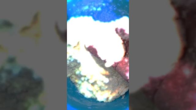 готовим дома