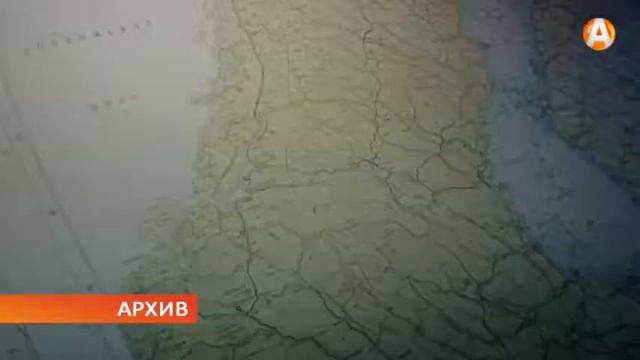 Олег Минин предлагает внести изменения в 323 и 326 федеральные законы смотреть онлайн