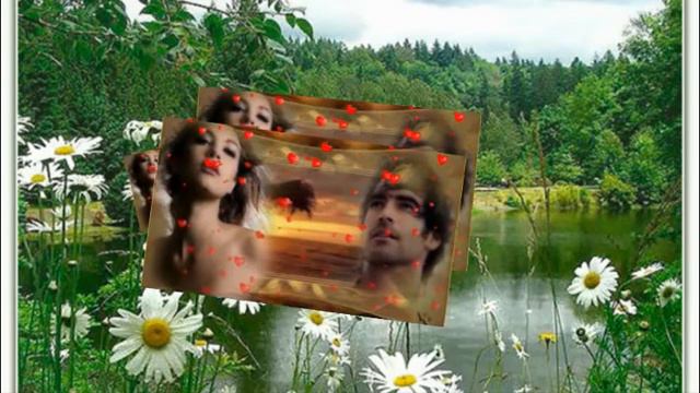 The Purpose And The Method