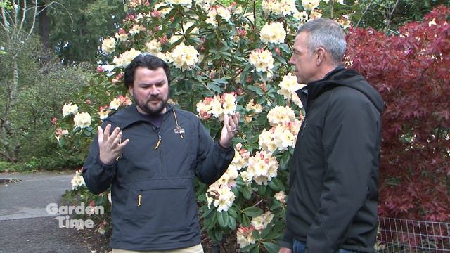 Crystal Springs Rhododendron Garden смотреть онлайн