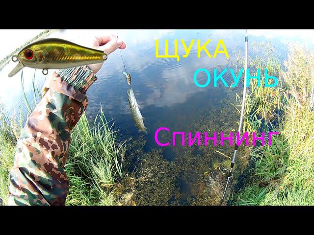 Щука и окунь на каждом забросе! смотреть онлайн