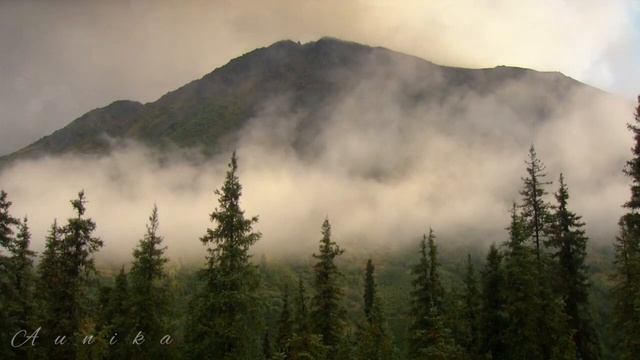 Aunika | Мантра Ганеши | Ауника. Канал @aunikasound смотреть онлайн