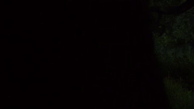 The Best Of Season 2! | Secrets Of Sulphur Springs | @disneychannel