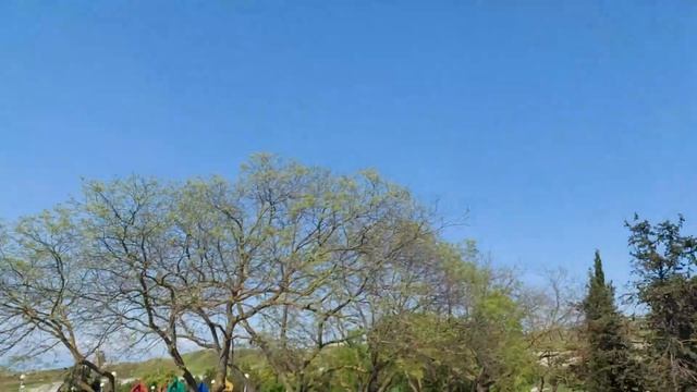 Как сейчас в Крыму цены | Парк Ахматовой Пляж песочный Песочная бухта Севастополь Крым смотреть онлайн