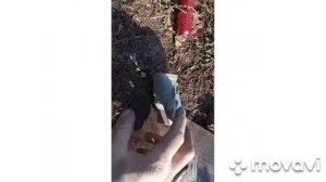 форд Мондео 2...проверка клапана холостого хода....не держит обороты