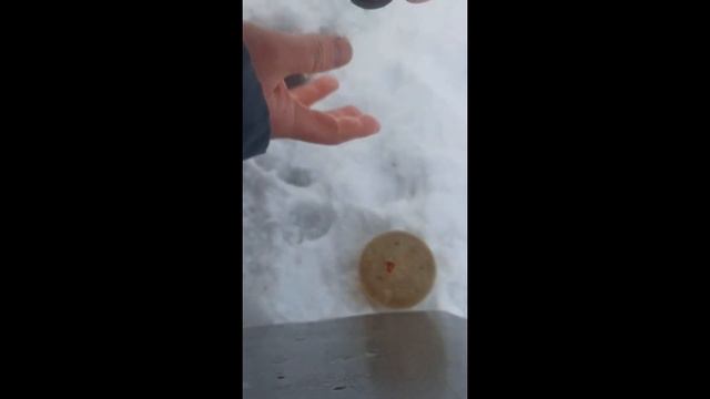 Отчет о рыбалке на Печенежском водохранилище День 2. Печенеги рыбалка 2022 смотреть онлайн