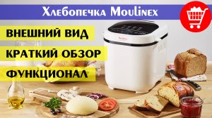 Хлебопечка Moulinex OW210130 (лучшая в своей ценовой категории, краткий обзор, тест, функционал)