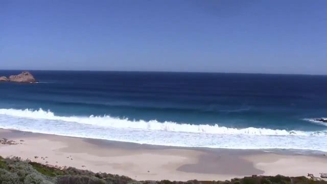 Странное животное из Австралии: смесь кенгуру и крысы ...Квокка смотреть онлайн