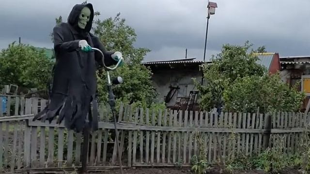 Моё пугало от птиц и соседей :-) смотреть онлайн