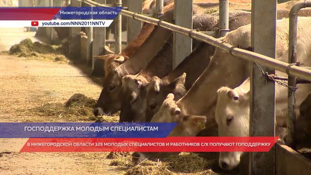 Господдержка молодых аграриев в Нижегородской области растет смотреть онлайн