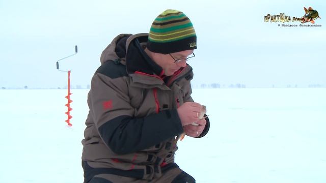 Безмотылка для крупного окуня. Практика ловли с Валерием Сикиржицким. Выпуск 19 смотреть онлайн