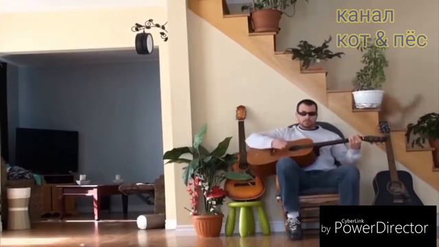 ДО СЛЁЗ СМЕШНЫЕ ПРИКОЛЫ 2018/ПРИКОЛЫ ПРО ЖИВОТНЫX 2018/СМЕШНЫЕ ПРИКОЛЫ С ЖИВОТНЫМИ 2018 смотреть онлайн
