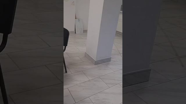Поздравления от Английской школы Насте Кошечке смотреть онлайн