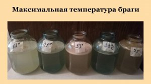 Максимальная температура воды для браги.