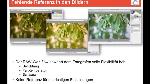 Webinar: Kamera-Kalibrierung komplett смотреть онлайн