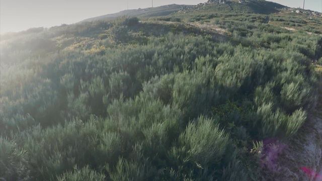 DJI Phantom 2 + GOPro 4 - FIrst Test смотреть онлайн