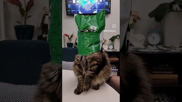 Словно летчик