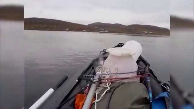 Управляемость и маневренность ПВХ лодки Saturn KaBoat SK430 под мотором SEA-PRO T 5S (5л.с.) смотреть онлайн