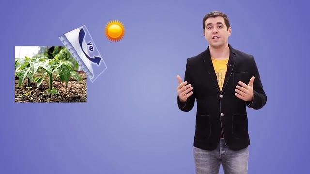 Все о поликарбонате.... И еще чуть чуть! -3 выпуск смотреть онлайн