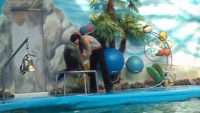 Морской лев смотреть онлайн