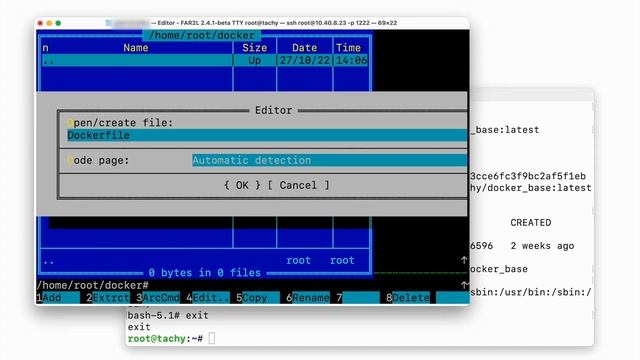 Tachyum Successfully Runs Docker on Prodigy Emulation смотреть онлайн