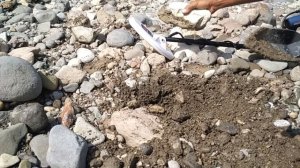 Ищу золото Gold Monster 1000