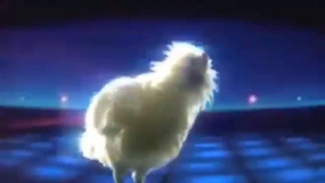 Funny Chicken Dance | Komik Tavuk Dansı [10 Min]