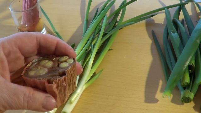 СУПЕР ЛУК ДЛЯ ВЫГОНКИ НА ПЕРО смотреть онлайн