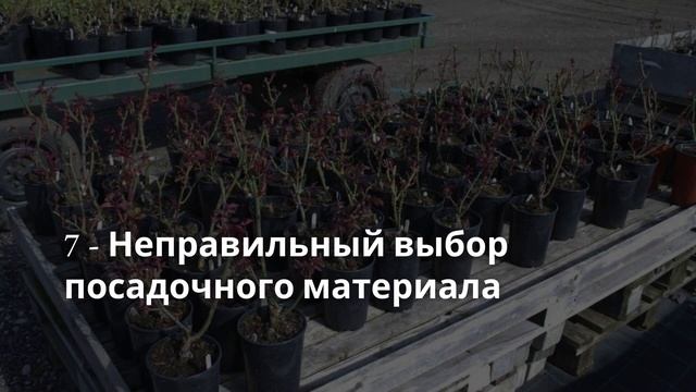 Курсы ландшафтного дизайна для начинающих | Цветник | Урок 1 - 10 Ошибок в создании цветника смотреть онлайн