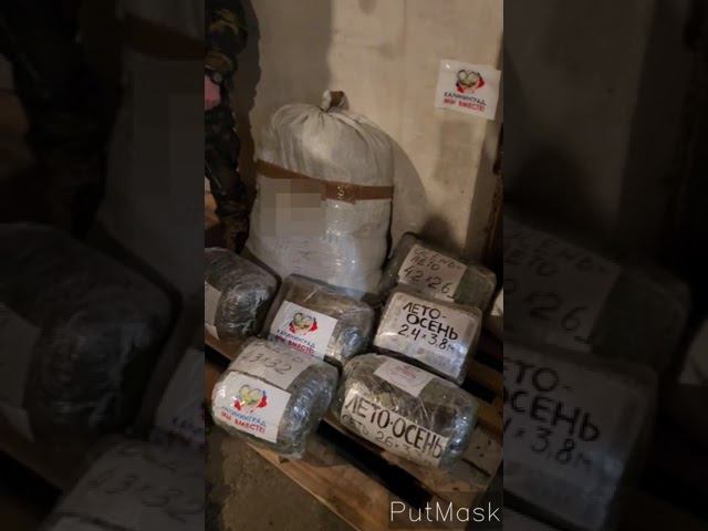 11 марта 2024 г. смотреть онлайн