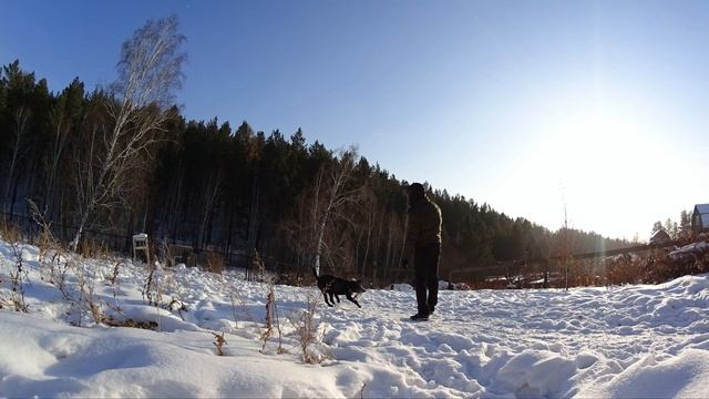 смотреть в 4к. =) sony action cam, на прогулке с моей собакой Джоли смотреть онлайн