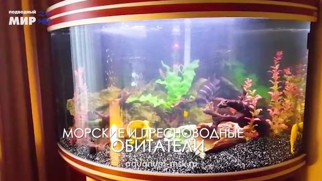 Пресноводный аквариум на 360 литров смотреть онлайн