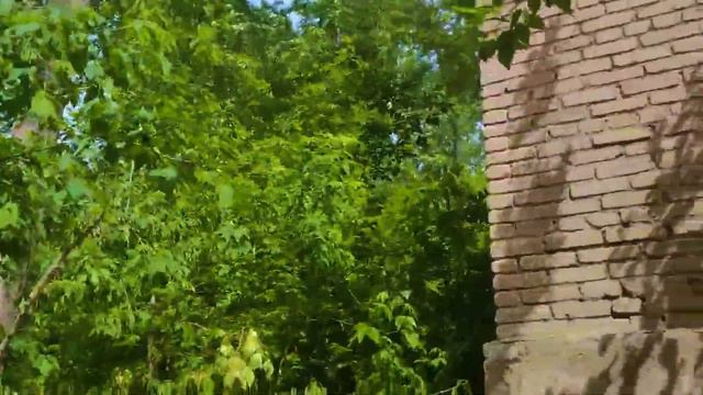 ОДИН ДЕНЬ В МЁРТВОМ ГОРОДЕ смотреть онлайн