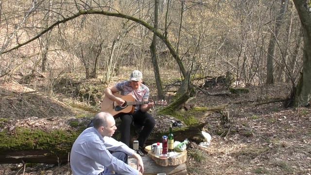 ДДТ - Ветер & Крематорий - Безобразная Эльза (кавер в Пуще-Водице 01.04.2021) смотреть онлайн