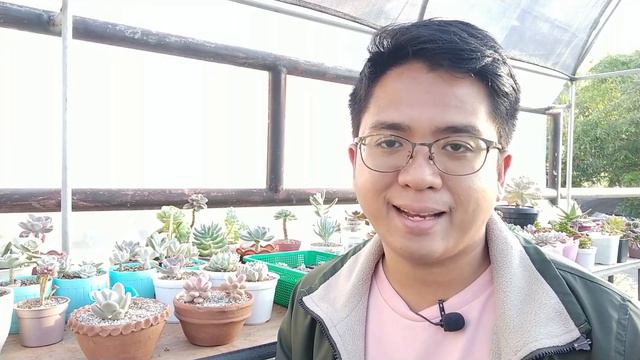 Mga Dapat Malaman sa Rarity & Trends ng Succulents / Dapat Ka Bang Bumili ng Trending na Plants? смотреть онлайн